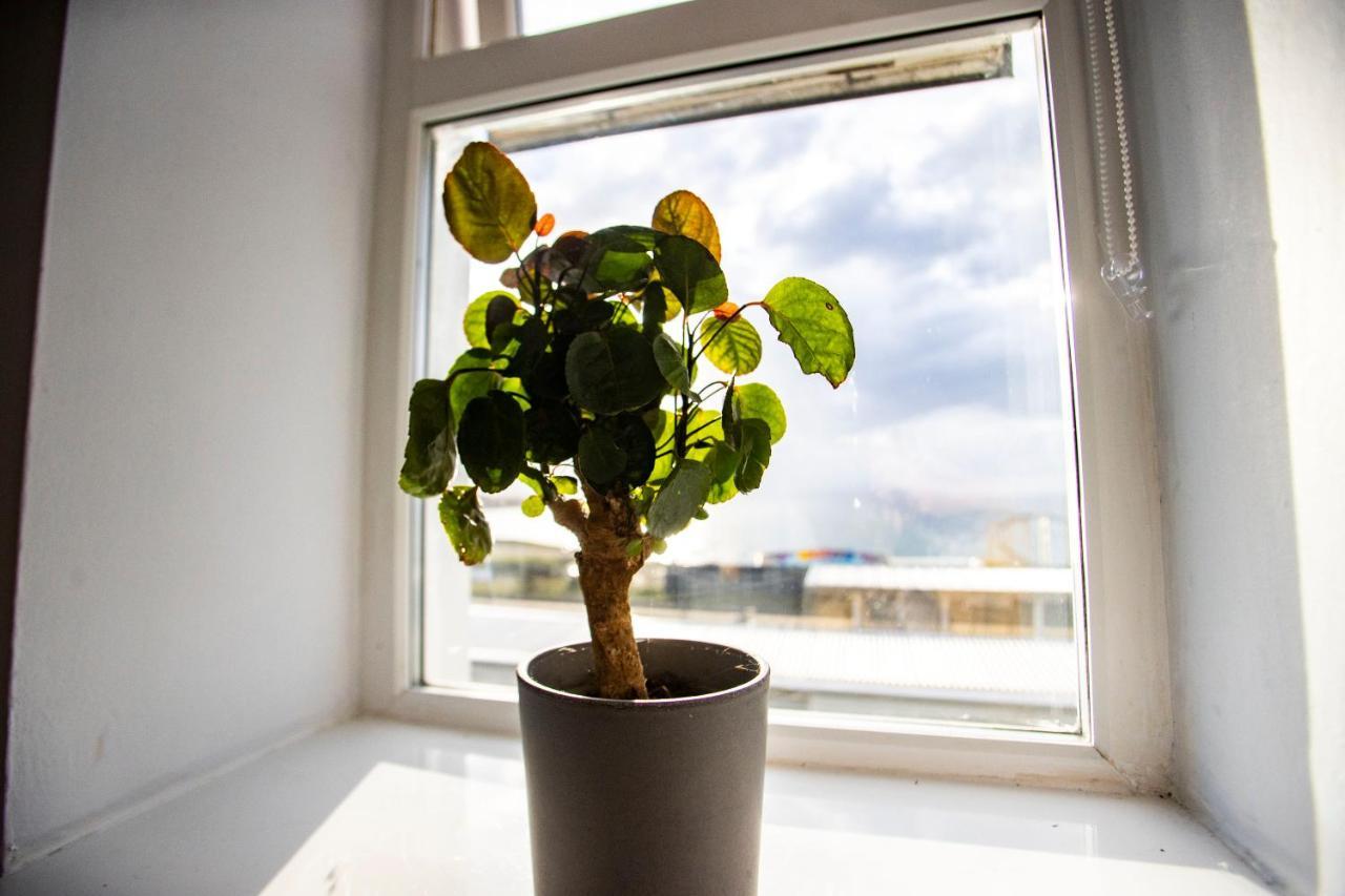 Entire Penthouse Apartment With Sea Views ポートラッシュ エクステリア 写真